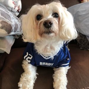 Meet your Posher, Kelley